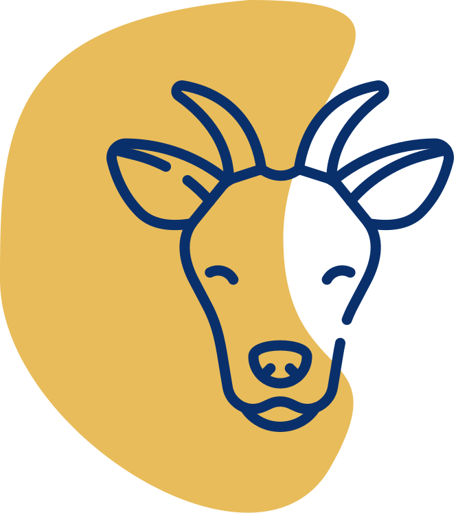 tabungan qurban